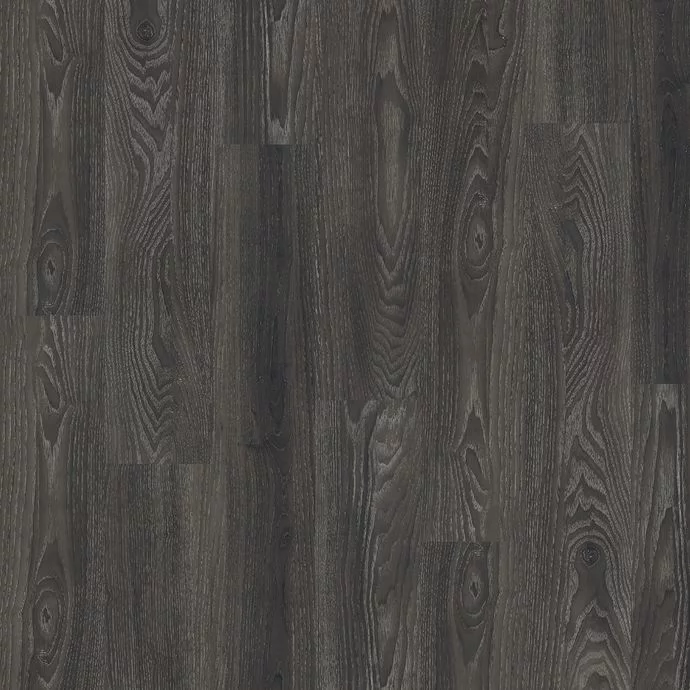 Black Elm