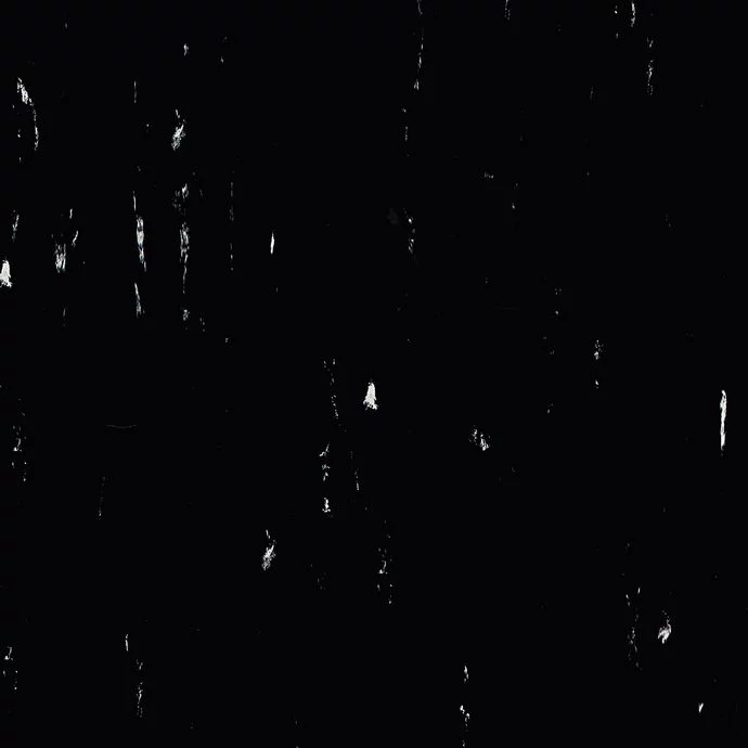 Black Panther