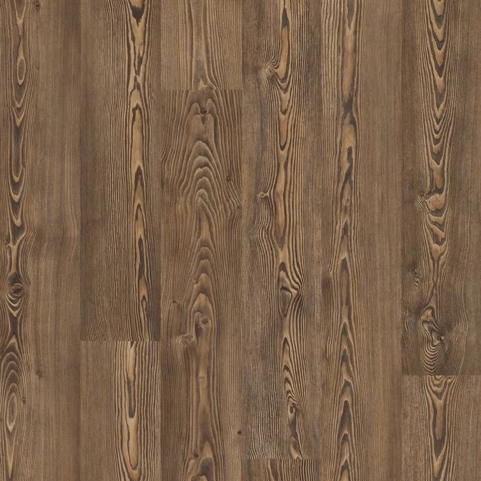 Bronzed Pine