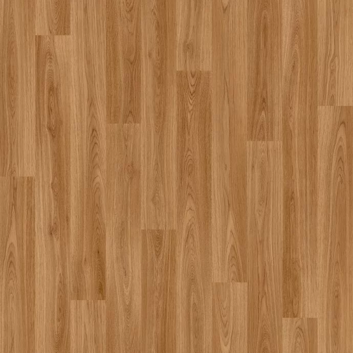 European Oak