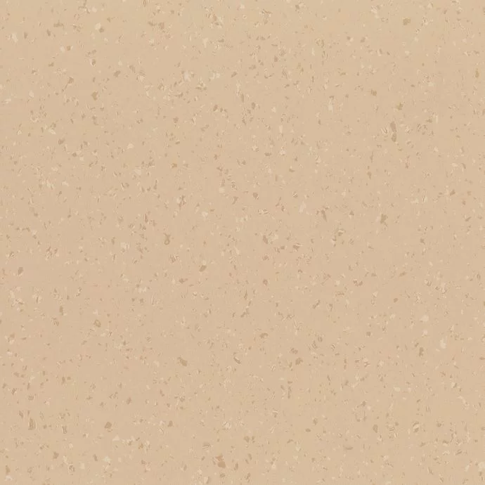Foundation