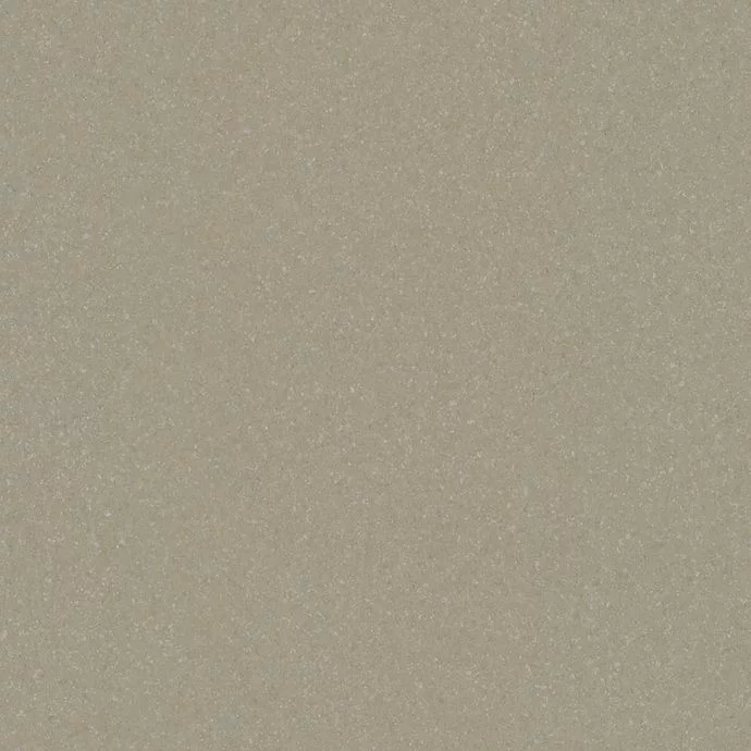 Moleskin