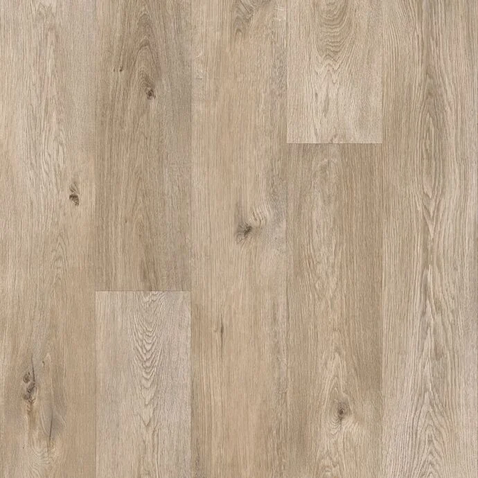 Ridge Oak