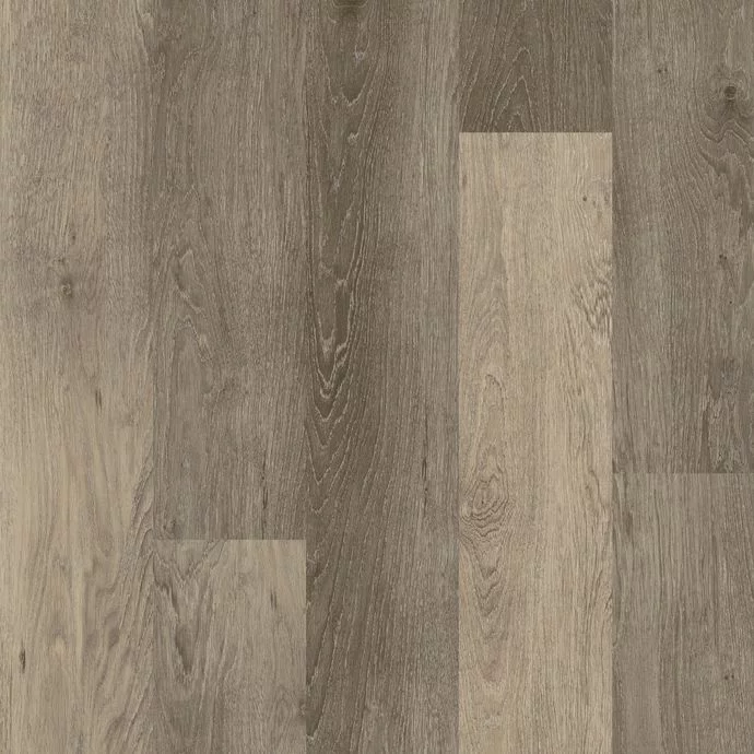 Vineyard Oak